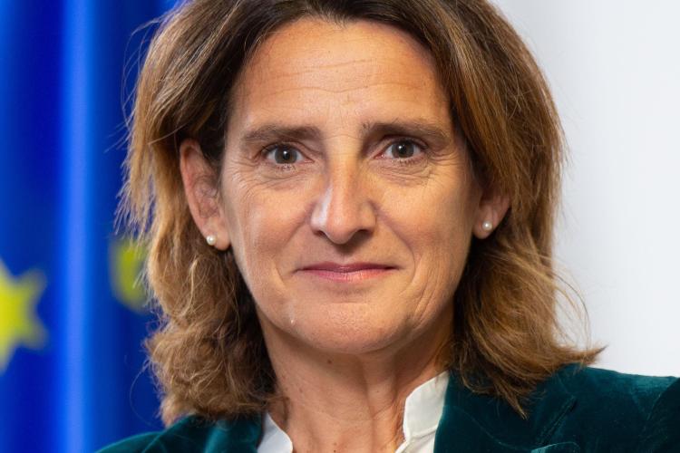 Ms. Teresa Ribera